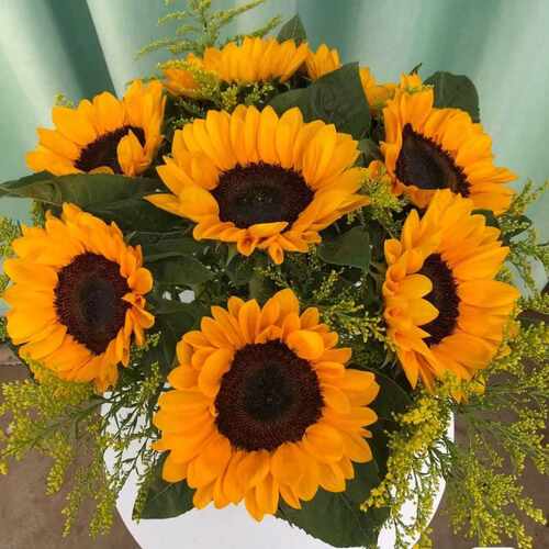 向日葵家庭花束鲜花向日葵