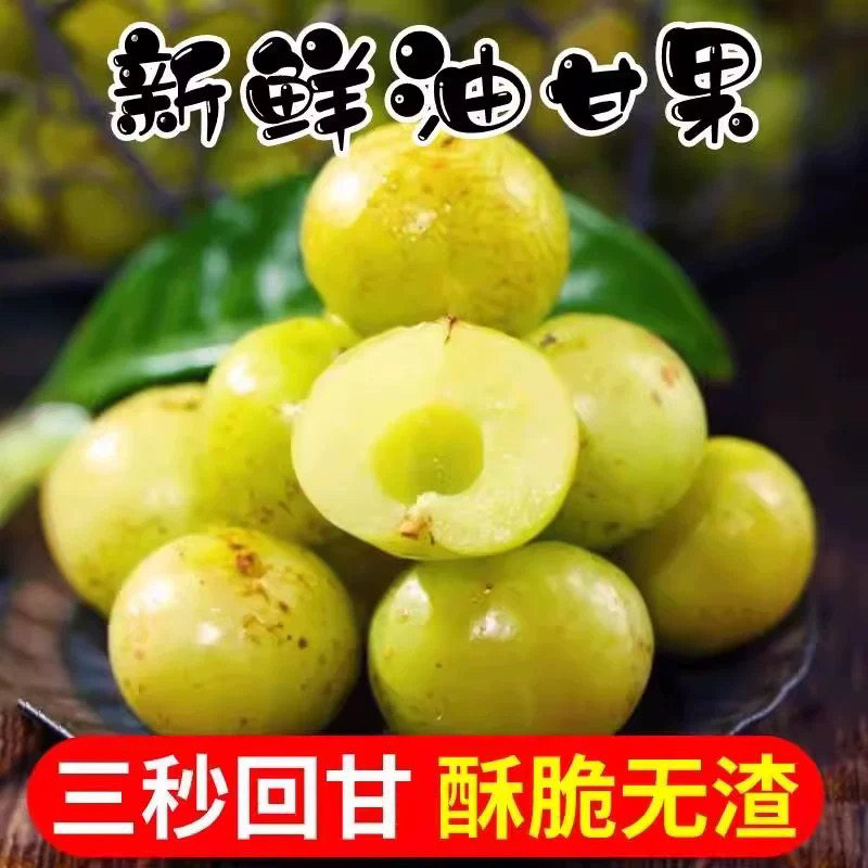 新鲜采摘青油甘子余甘果牛甘果滇橄榄果余甘子油甘酸水果5斤