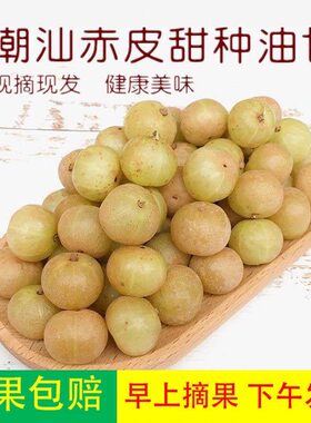 潮汕赤皮油甘小果甜种油甘适合生吃榨汁煲汤泡酒包邮