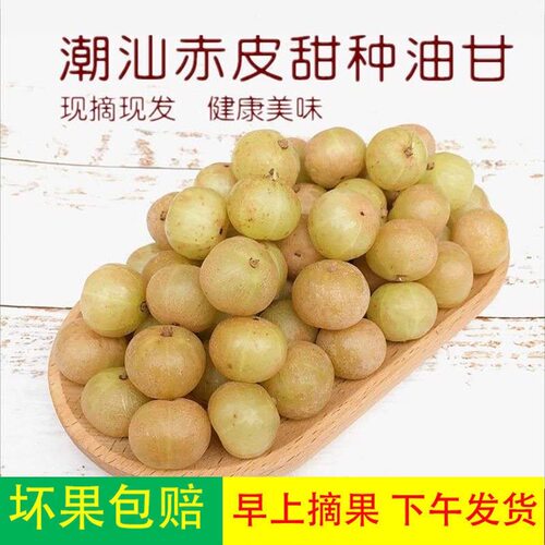 潮汕赤皮油甘小果甜种油甘适合生吃榨汁煲汤泡酒包邮