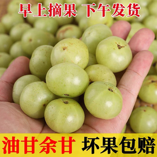 潮汕油甘果余甘果牛甘果滇橄榄生吃榨汁酸涩回甘包邮