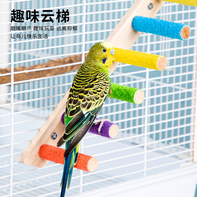 鹦鹉站架玩具云梯攀爬梯虎皮牡丹玄凤小太阳鸟解闷自嗨磨嘴爪啃咬