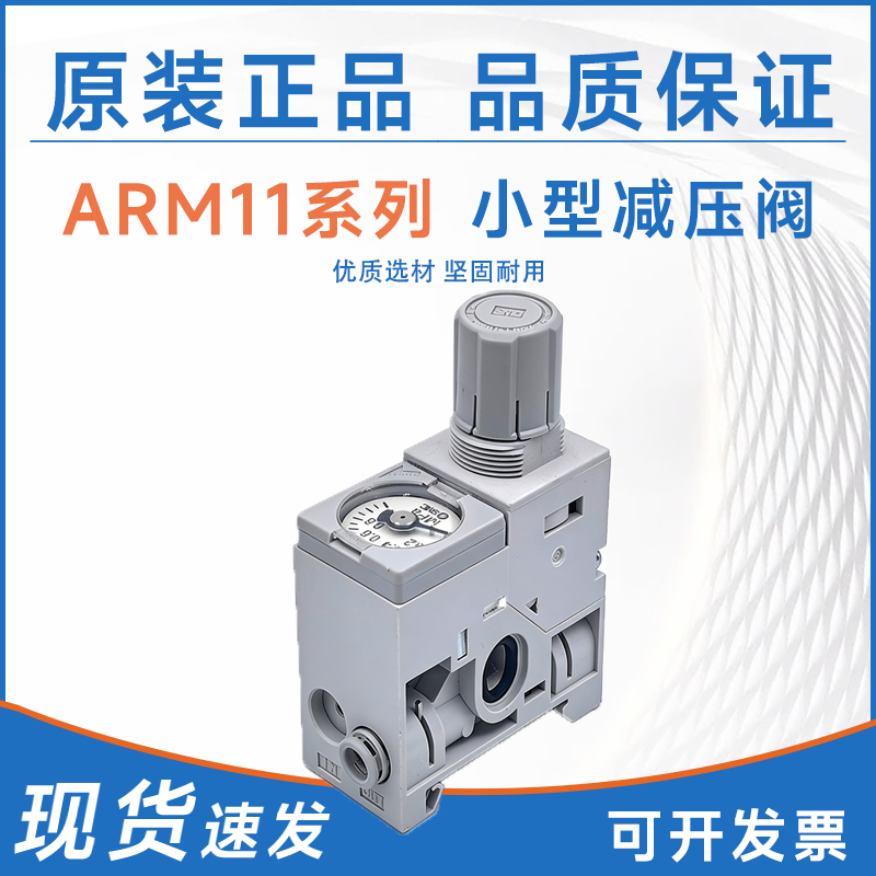 ARM11AB2 ARM11AA2 ARM11AA1-R04-R05-R16-AZA-N IS10-00-X287