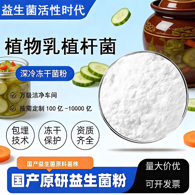 植物乳杆菌粉低温冷冻干燥益生菌食品级乳酸菌粉发酵植物果蔬泡菜