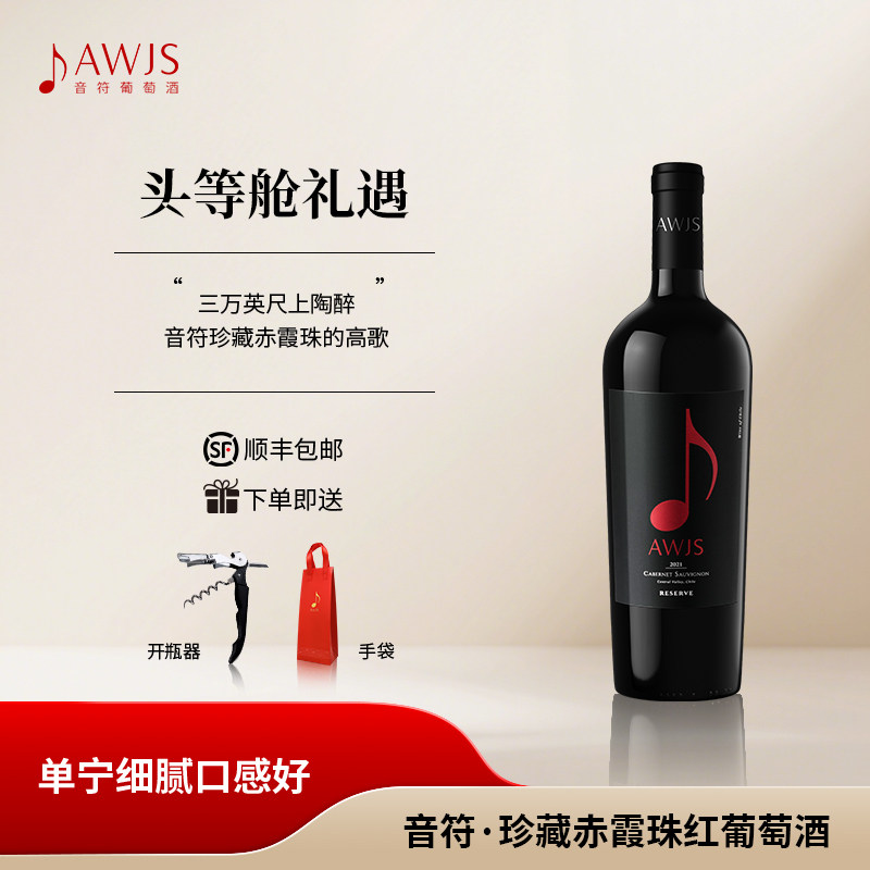 智利进口 音符珍藏赤霞珠干型红葡萄酒 果香浓郁高端宴请红酒