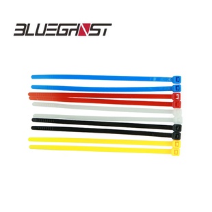 Blueghost 潜水专用尼龙扎带 4.8mm自锁咬嘴扎带 调节器捆绑束带