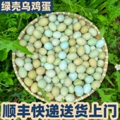 顺丰 50枚乌鸡蛋正宗土鸡蛋40枚农家散养新鲜绿壳鸡蛋30枚20枚 包邮