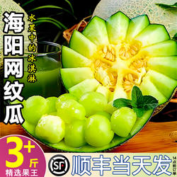 海阳网纹瓜网纹蜜瓜冰淇淋哈密瓜甜静冈蜜瓜当季新鲜玫珑蜜瓜顺丰
