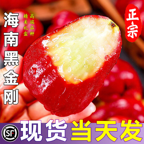 海南黑金刚莲雾香甜多汁顺丰礼盒