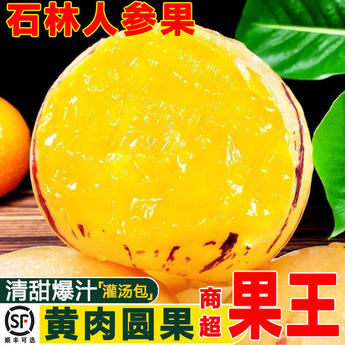 云南石林人参果新鲜水果黄肉圆果