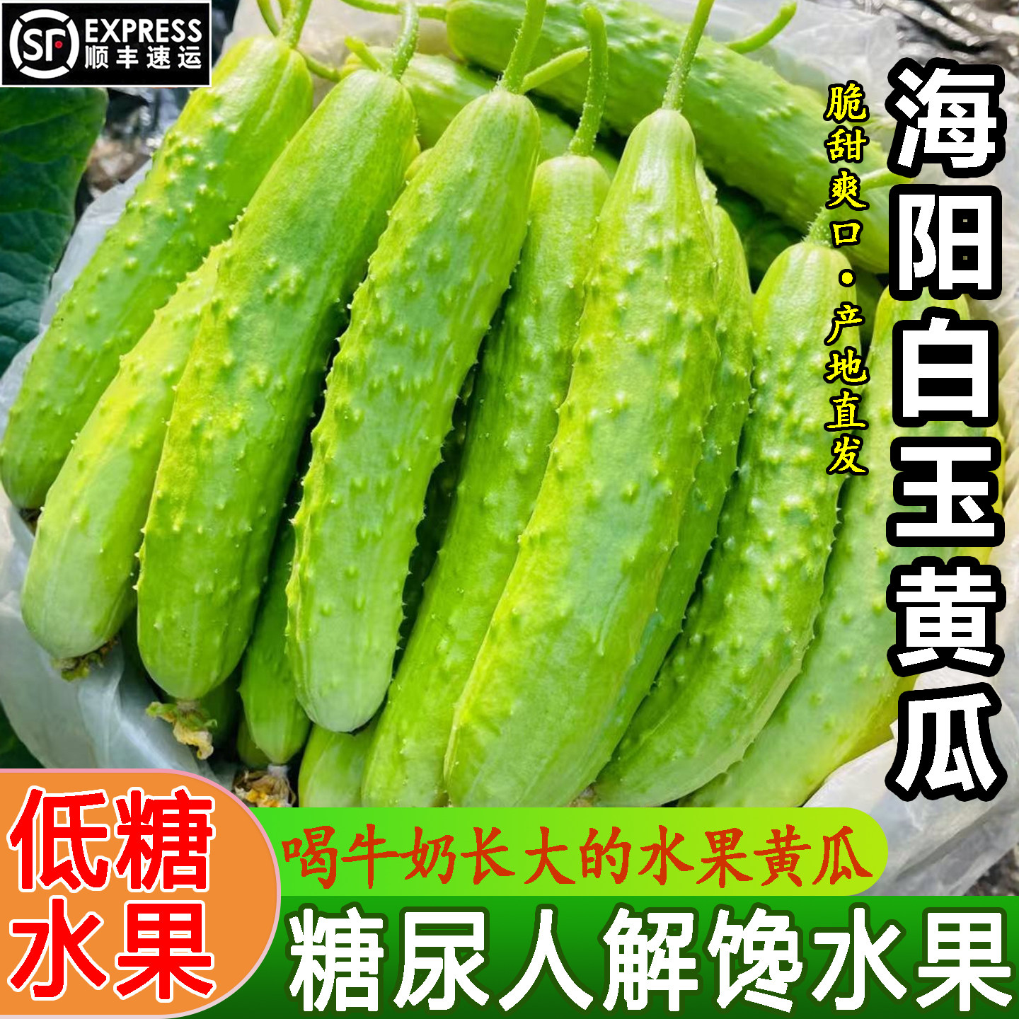 顺丰白玉黄瓜脆嫩生吃低糖水果图片