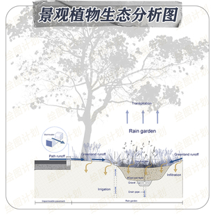 景观分析图雨水花园设计排水系统大样图剖面图psd 生态环境分析图