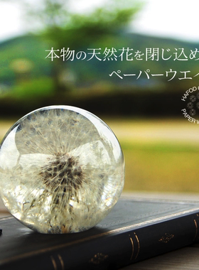 日本ems代购英国花文蒲公英镇纸