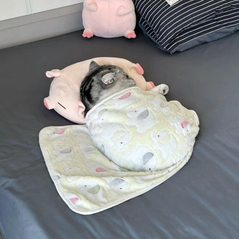 可爱宠物毛毯四季通用猫咪狗狗双面绒盖毯夏季空调被秋冬保暖毯子