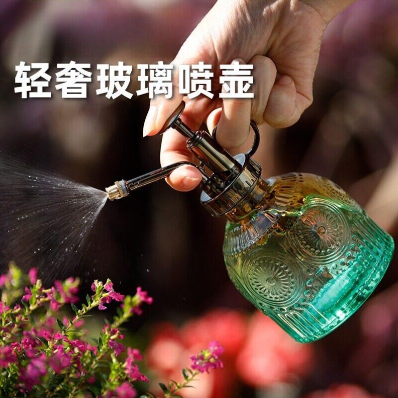 玻璃小喷壶浇花家用复古小型浇水壶多肉绿植园艺喷雾壶小喷瓶