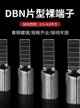 DBN1.25-10 2-10 5.5-10 5.5-14片型冷压接线端子片形插针扁线耳