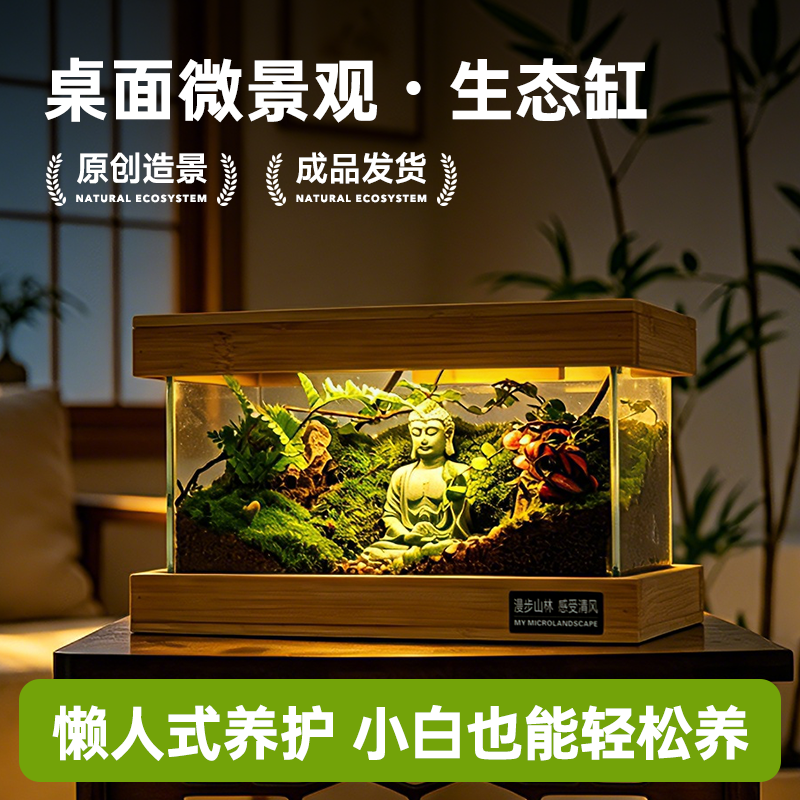 听风苔藓微景观生态瓶桌面装饰摆件生日礼物节日治愈系绿植