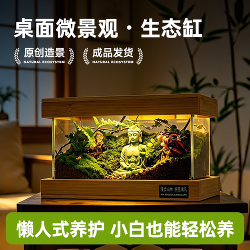 苔藓微景观桌面摆件生日礼物礼品