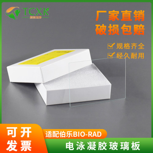 通用伯乐蛋白电泳仪薄板厚板