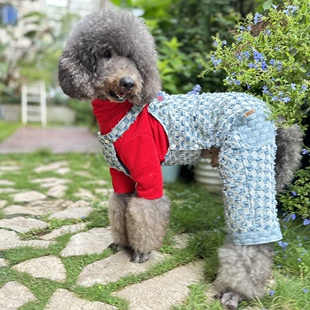 哈尼宠物衣服定制 巨贵犬狗狗金毛狗狗潮酷旗盘格个性牛仔背带裤