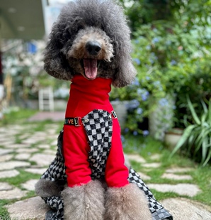 哈尼宠物衣服定制 巨贵犬柴犬狗狗潮裤旗盘格个性背带裤