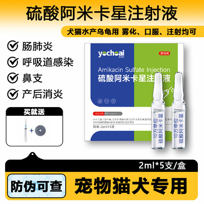 肺部消炎肺炎呼吸道感染