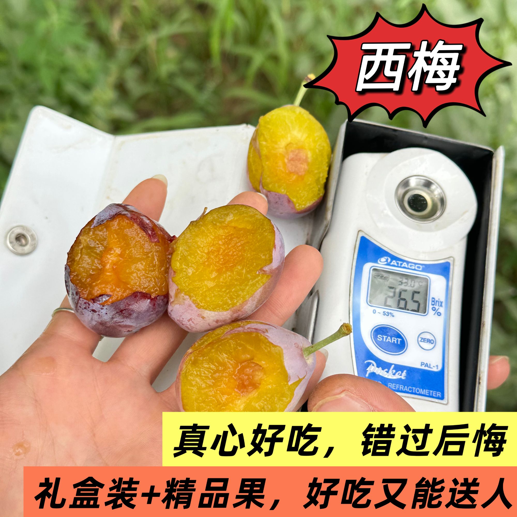 西梅真值得买，超好吃
