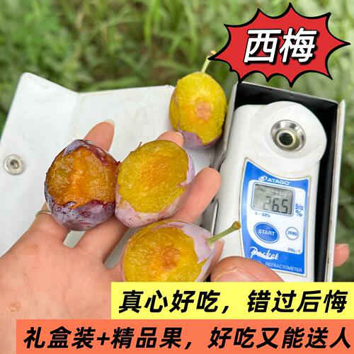 西梅真值得买，超好吃