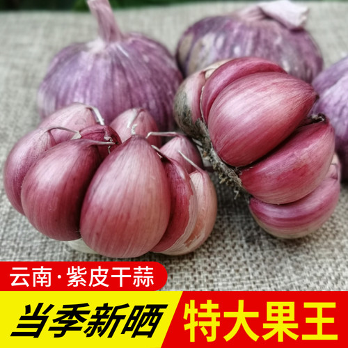 紫皮大蒜蒜香味浓特大蒜王