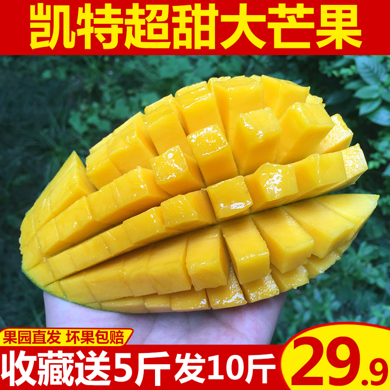 攀枝花凱特芒果 特大新鮮批發包郵10斤當季水果非大青芒貴妃臺農