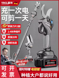 德国进口电动剪果树修枝剪锂电池强力园林工具电剪子园艺剪枝神器