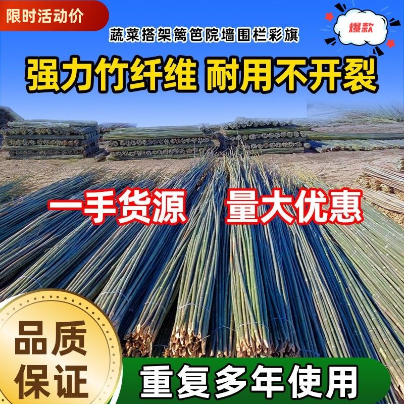 瘦竹竿菜园搭架豆角黄瓜番茄瓜果爬藤架园艺篱笆围栏旗杆防腐竹竿