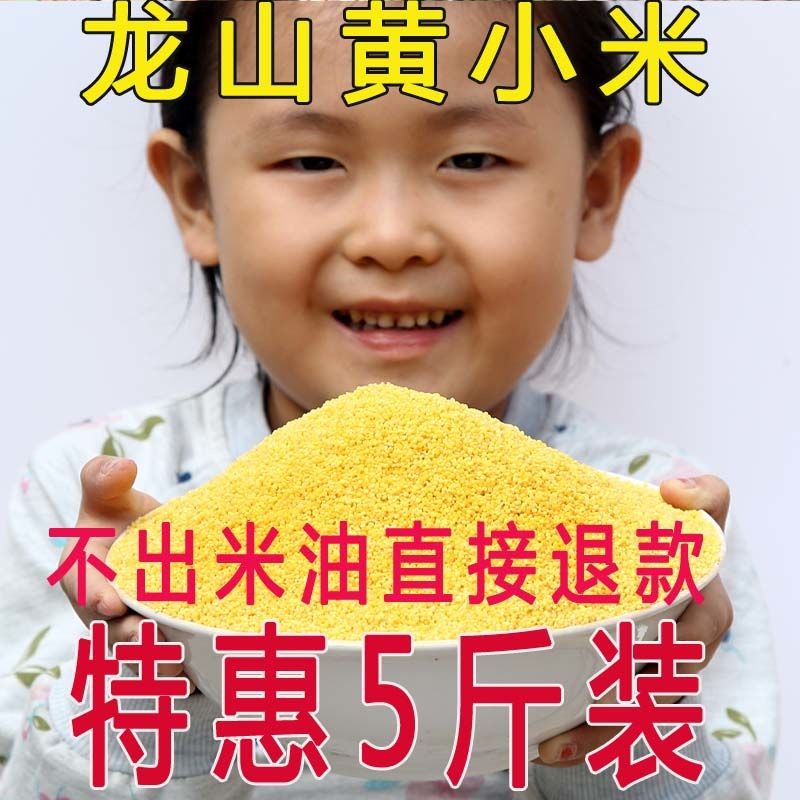 新米山东特产章丘龙山小米农家小黄米月子宝宝米五谷杂粮粗粮5斤