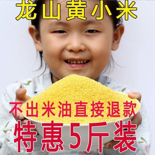 新米山东特产章丘龙山小米农家小黄米月子宝宝米五谷杂粮粗粮5斤 - 封面
