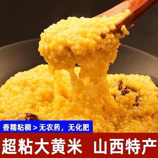 农家新大黄米黏米黄糯米包粽子米糜子米软糯小米江米软米粘米年糕