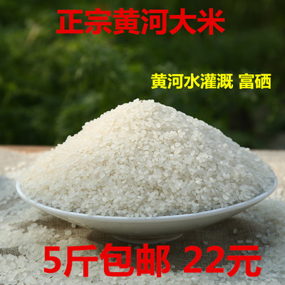 新大米黄河大米山东农家自产新米5斤香大米 散装熬粥蒸米饭熬粥