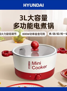 电煮锅双耳多功能电火锅3L