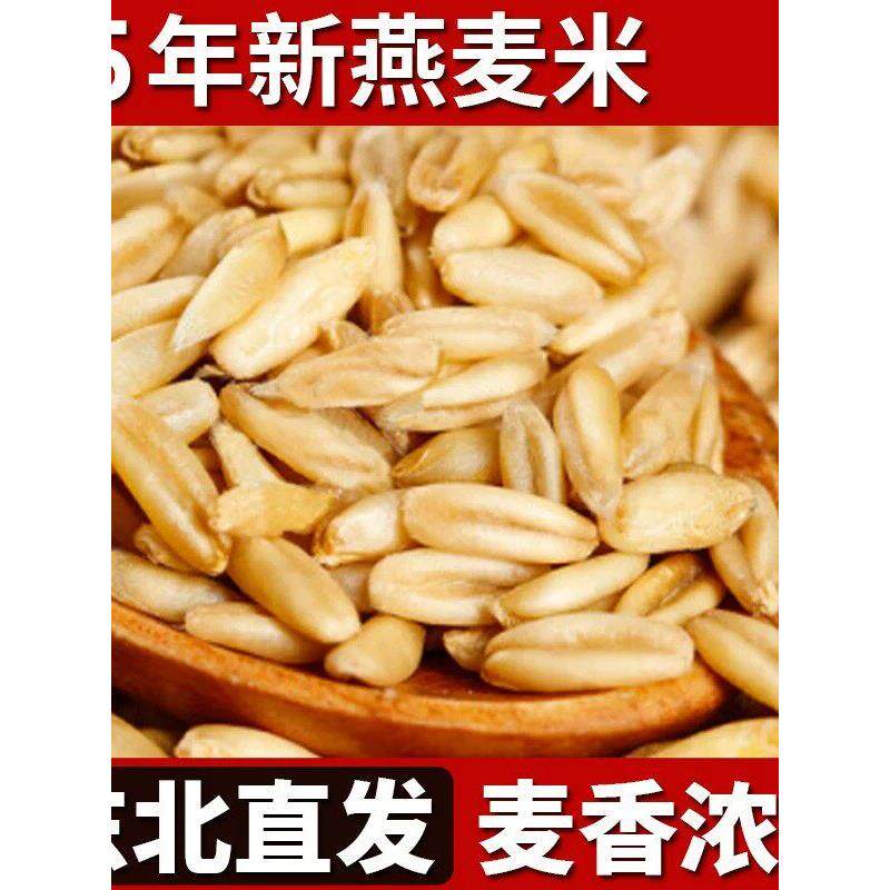 新货燕麦米农家自种今年燕麦米燕麦仁全胚芽五谷杂粮营养健康早餐