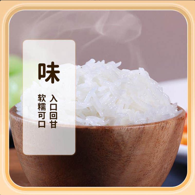 猫牙型米真空独立包装长粒籼米现磨现发大米袋装500g