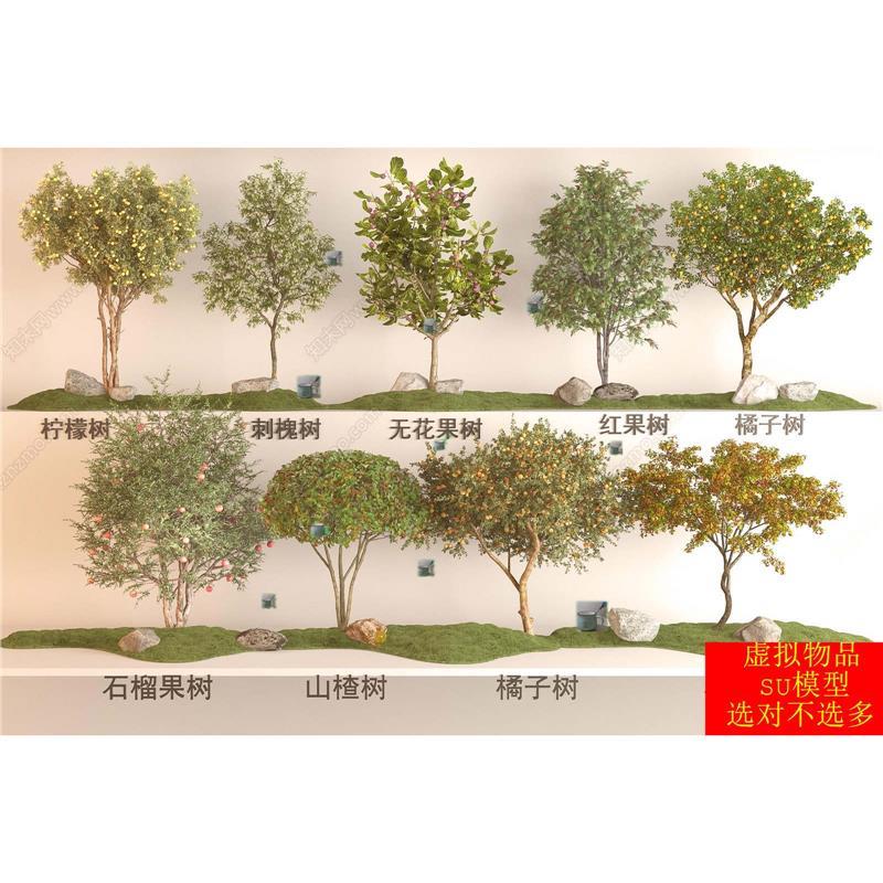 SU模型 柠檬树刺槐树无花果树石榴树山楂树橘子树苹果树