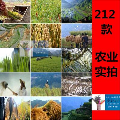 农民耕田种菜农业种植农副产品收割稻田丰收水产养殖实拍视频素材