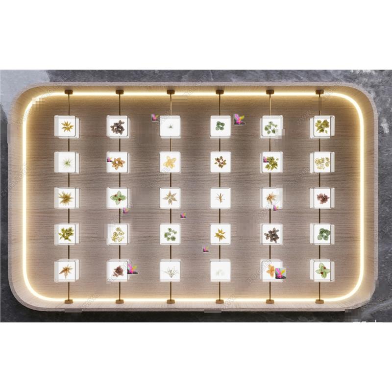 4363现代植物标本墙饰 树叶标本 标本 挂件 摆件 装饰品 SU模型