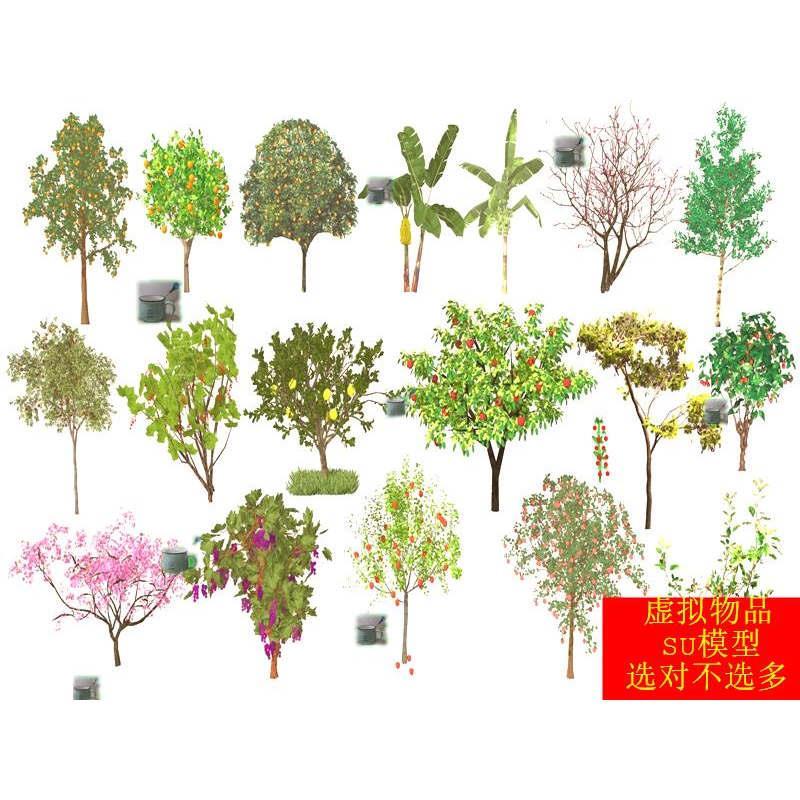 SU模型 果树苹果树橘子橙子树桃树香蕉葡萄板栗枣树柚子樱桃树