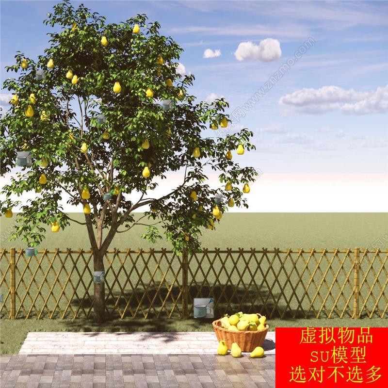 SU模型 庭园果树梨树梨子雪梨鸭梨景观树水果乔木