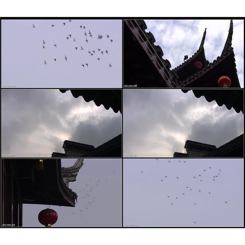 空境南京天空飞鸟古建筑屋顶灯笼高清实拍视频素材