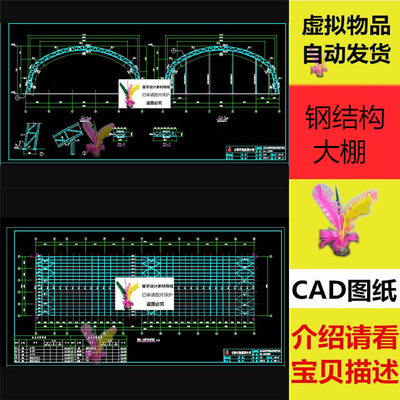 钢结构大棚施工图包括轴立面结构布置图 平面布置图 CAD图纸