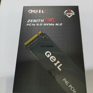 【议价】4.0金邦P4L 2T固态硬盘M2 NVME PCIE议价