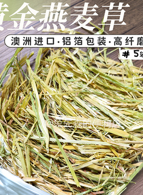 澳洲黄金燕麦草净重500g兔子龙猫荷兰猪牧草 主草澳麦替代提摩