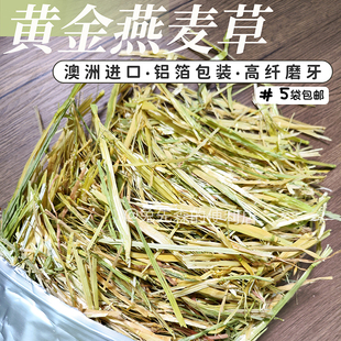 澳洲黄金燕麦草净重500g兔子龙猫荷兰猪牧草 主草澳麦替代提摩