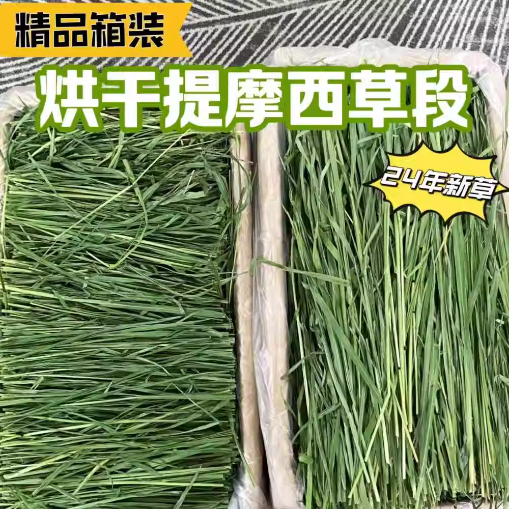 精品烘干提摩西草磨牙北提主草